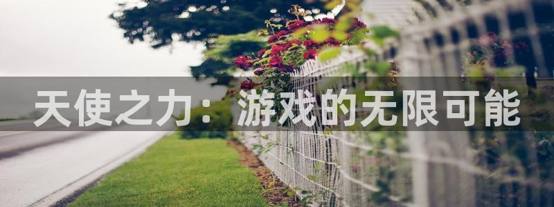 28大神怎么不能用了：天使之力：游戏的无限可能