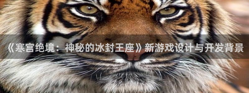 完美电竞开奖查询：《寒宫绝境：神秘的冰封王座》新游戏设计与开