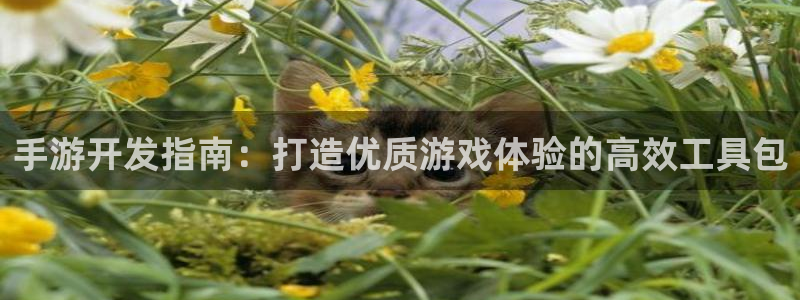 28大神零一预测