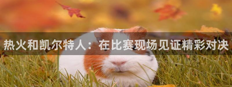手机体育直播吧：热火和凯尔特人：在比赛现场见证精彩对决