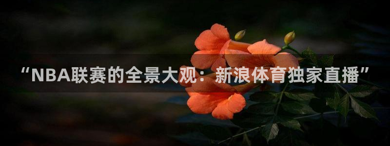 006体育直播吧体育直播：“NBA联赛的全景大观：新浪体育独家直播”