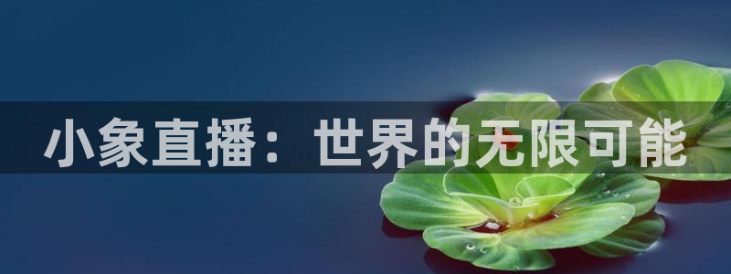 nba直播吧 王者体育：小象直播：世界的无限可能