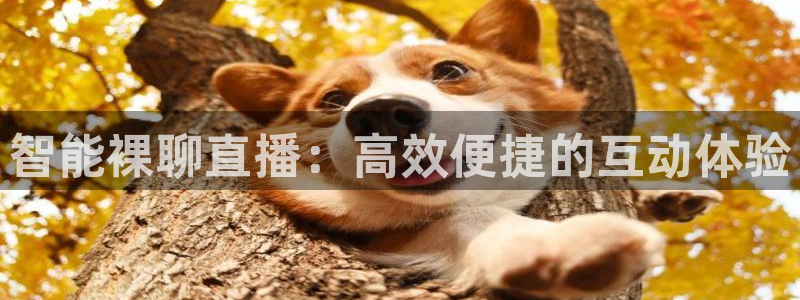 nba免费直播吧在线直播观看：智能裸聊直播：高效便捷的互动体验