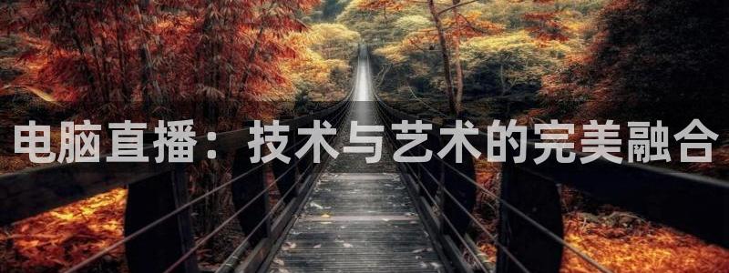 58体育直播吧：电脑直播：技术与艺术的完美融合