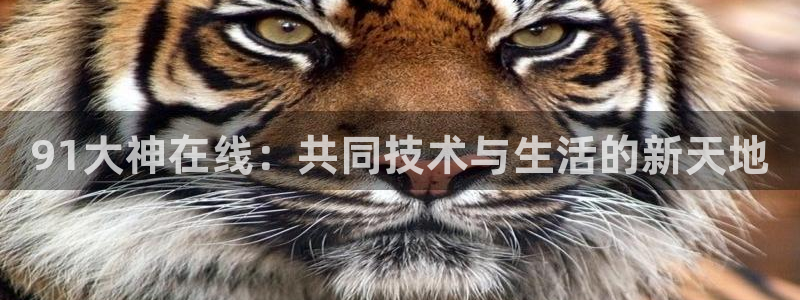 雨燕体育直播吧免费观看：91大神在线：共同技术与生活的新天地