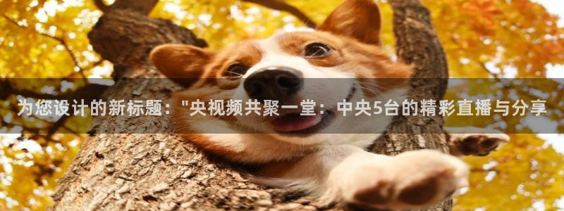 nba直播吧极速：为您设计的新标题：\