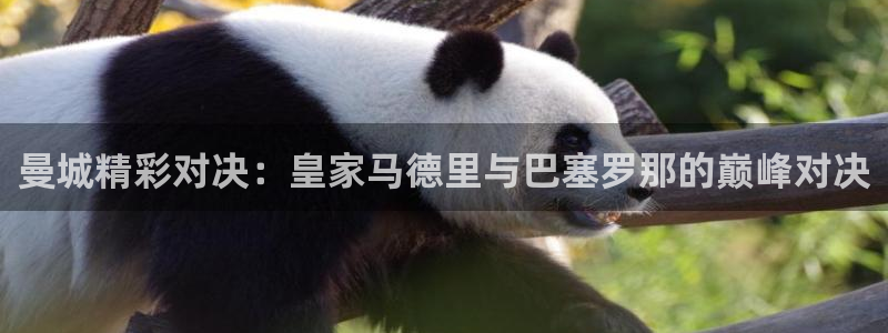 360直播网足球直播nba直播吧：曼城精彩对决：皇家马德里与巴塞罗那的巅峰对决